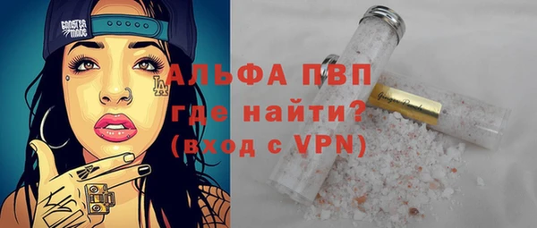 стафф Шадринск