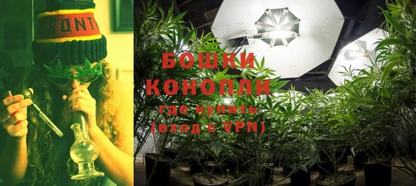 стафф Шадринск