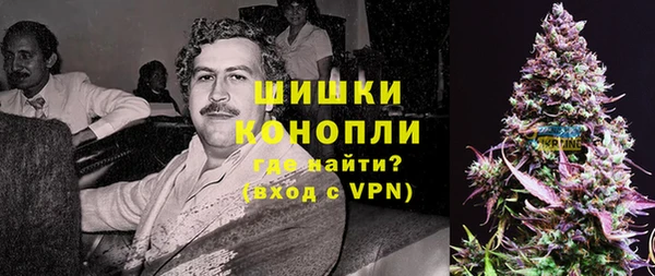 стафф Шадринск