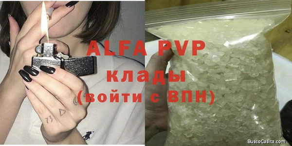 стафф Шадринск